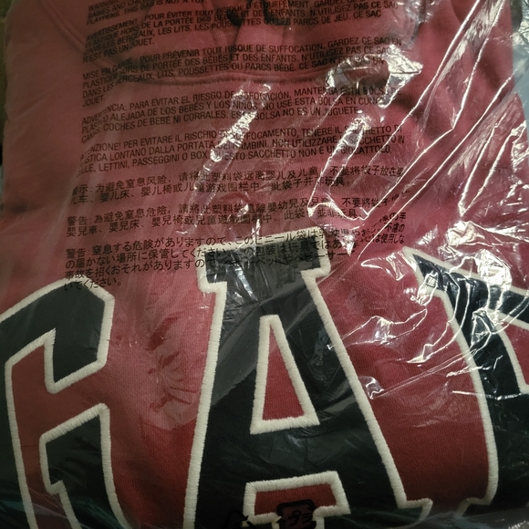 Gap Logo Hoodie - Picture 4 of 4